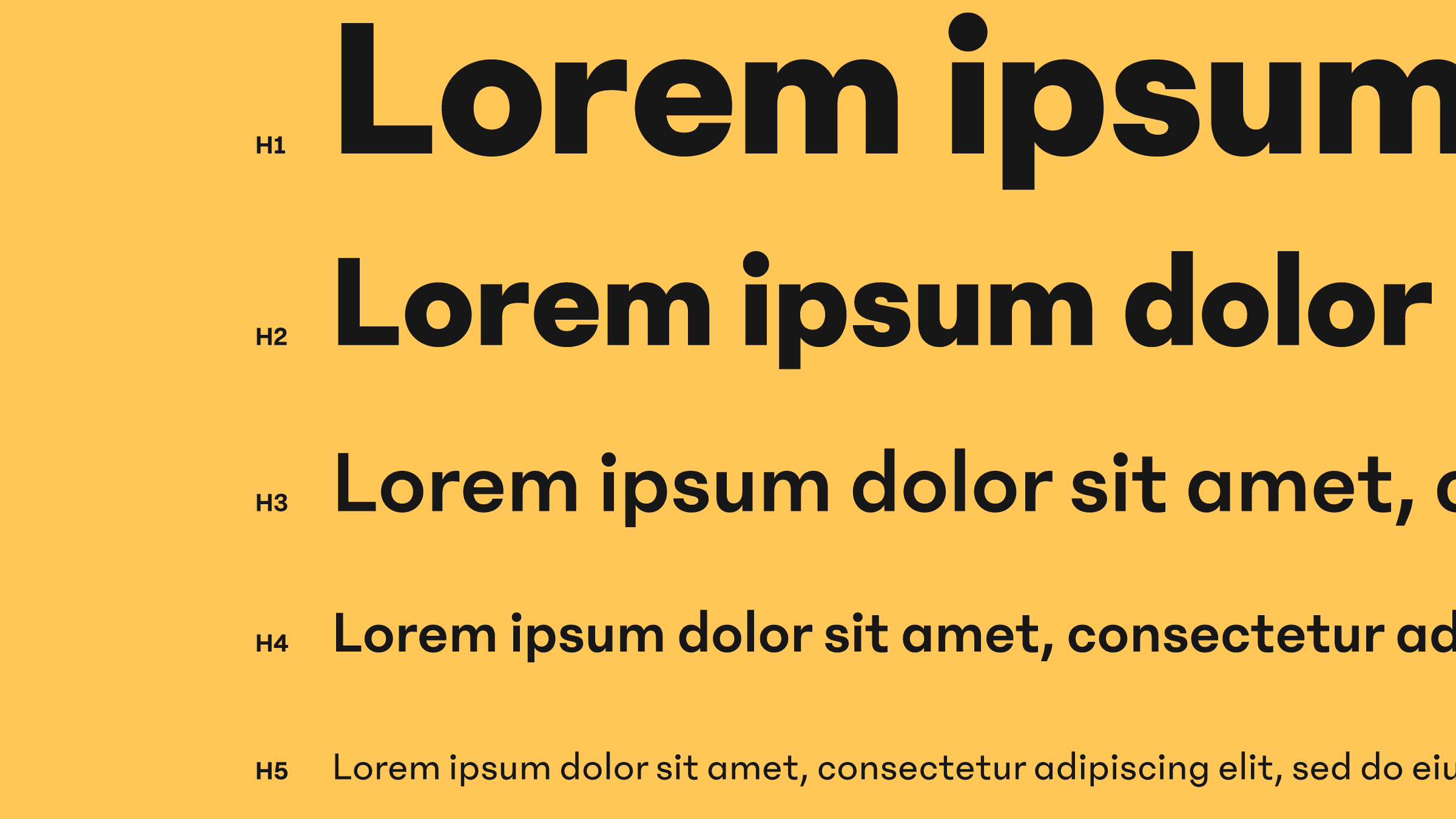 Lorem Ipsum text