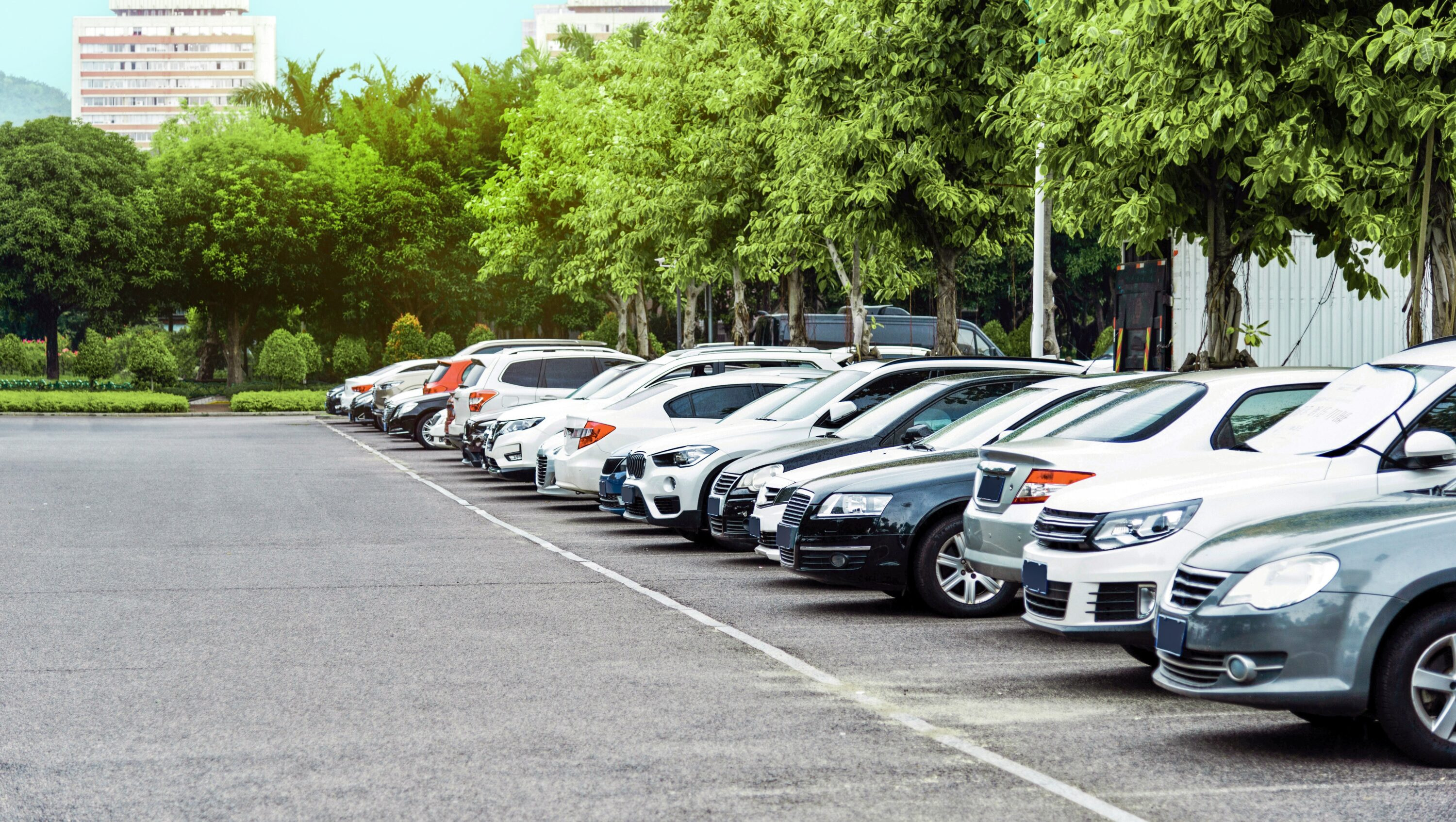 Parking lot with multiple cars, green trees background.