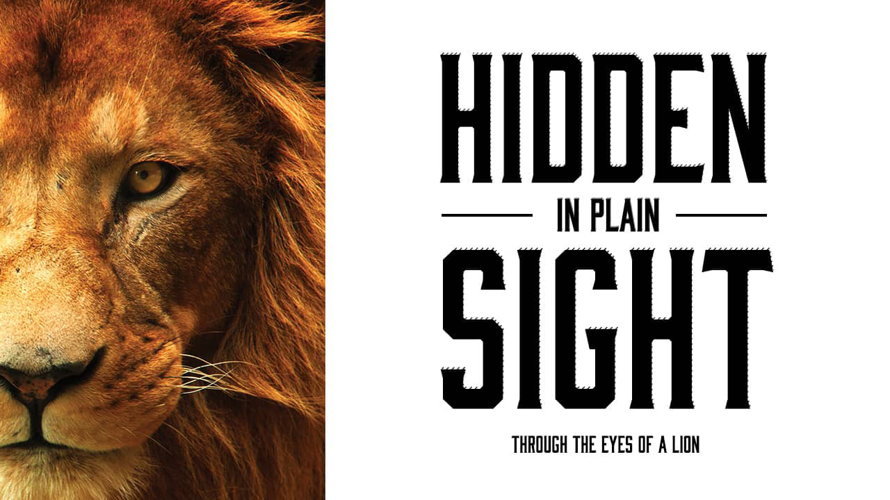 Lion face with text hidden in plain sight