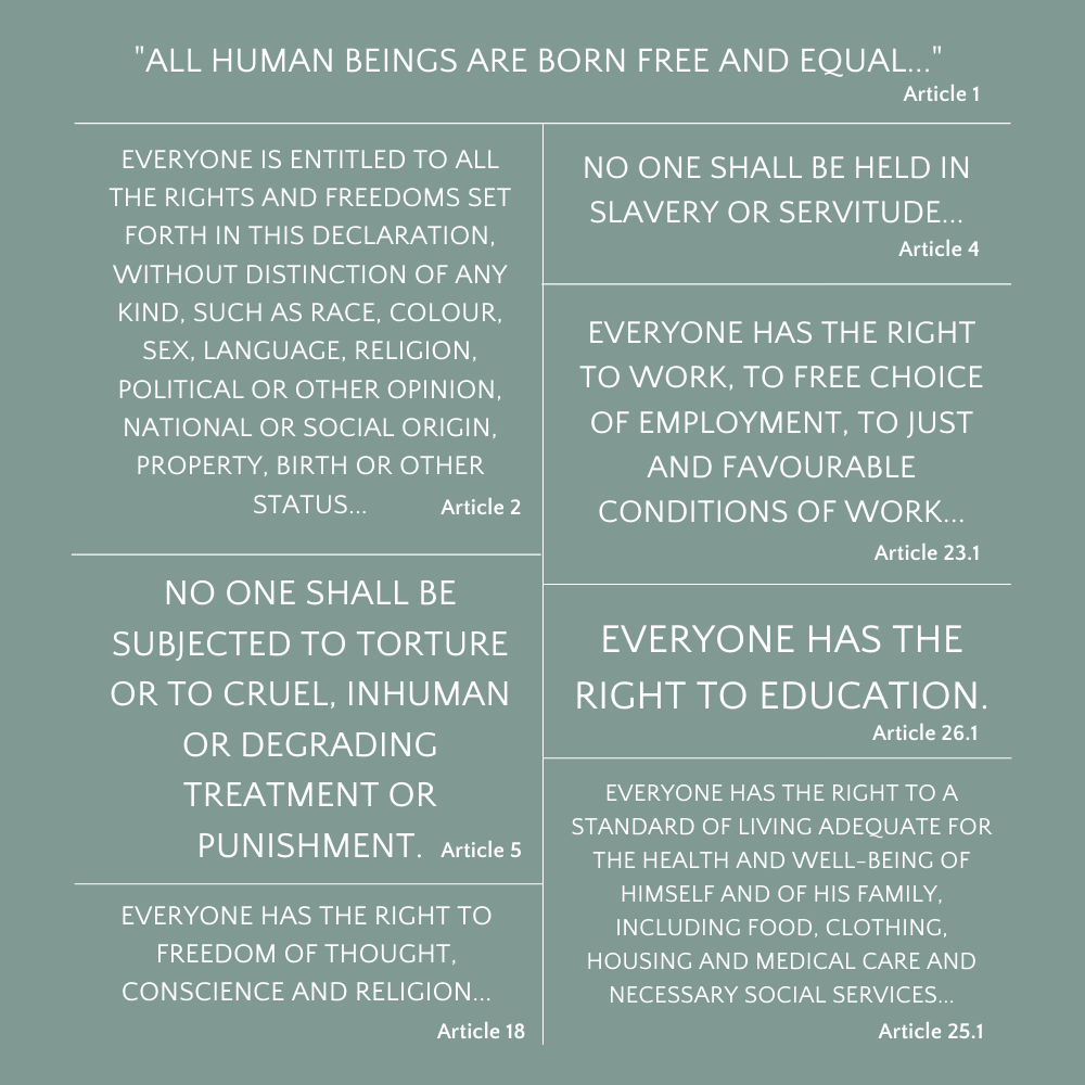 Human Rights