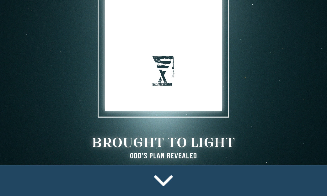 BROUGHT TO LIGHT