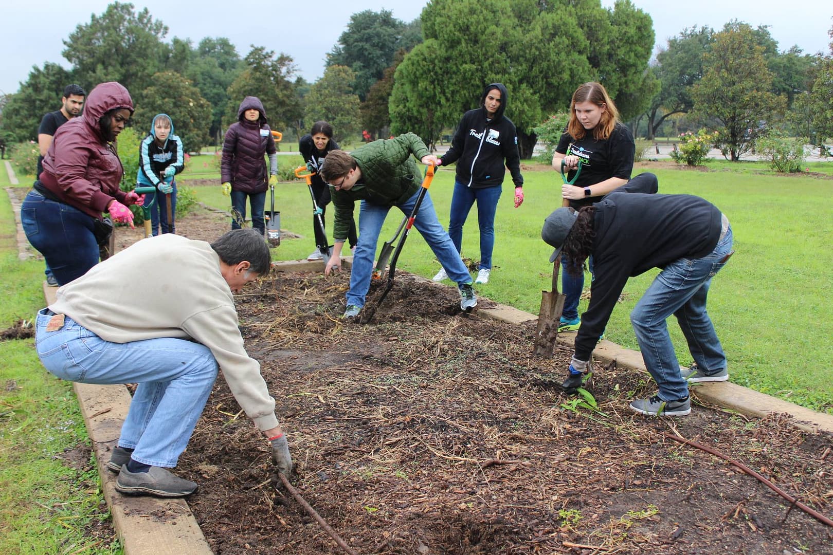 Group gardening and cleaning a community plot.