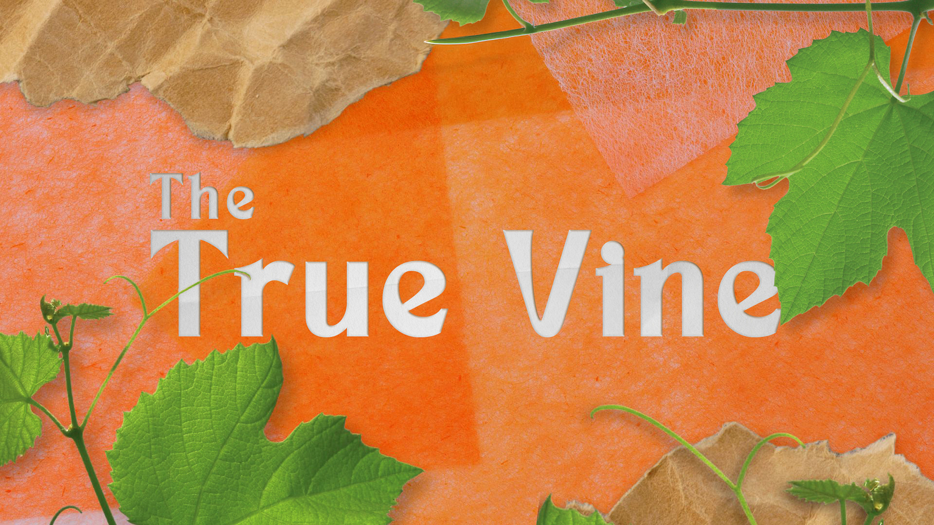THE TRUE VINE