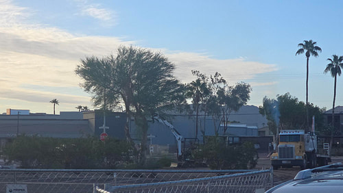 IMG_20251018_084915 (2)