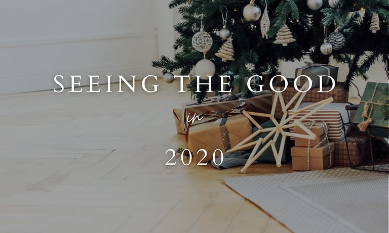 Seeing the Good in 2020 Header Image