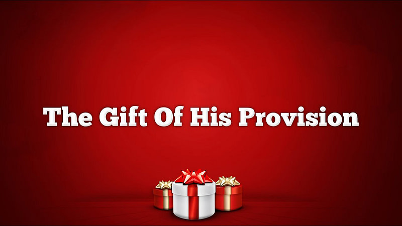 The Gift of His Provision