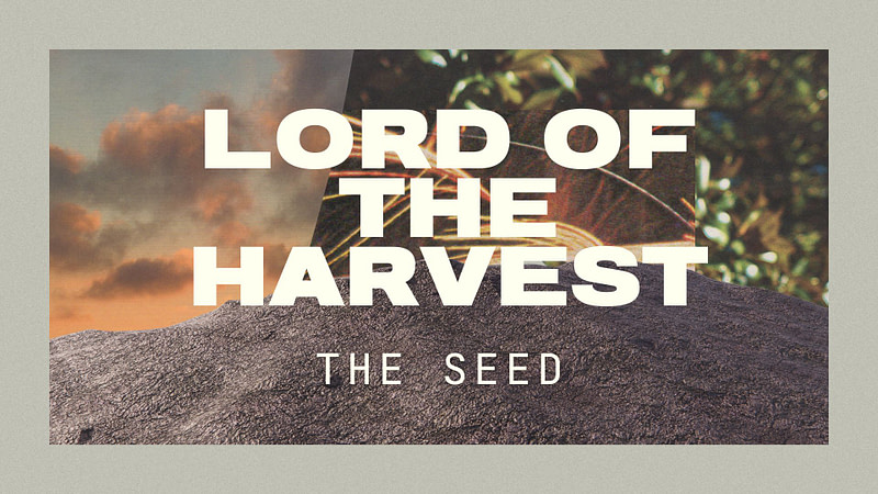 Lord Of The Harvest | “The Seed”