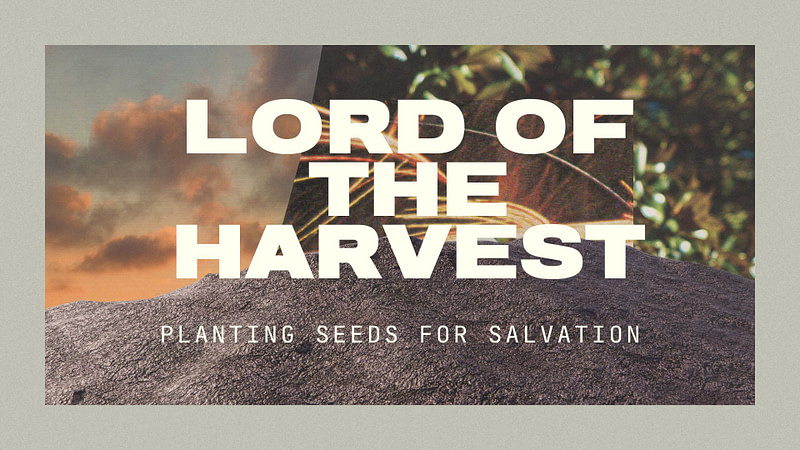 The Lord Of The Harvest | “Made To Multiply”