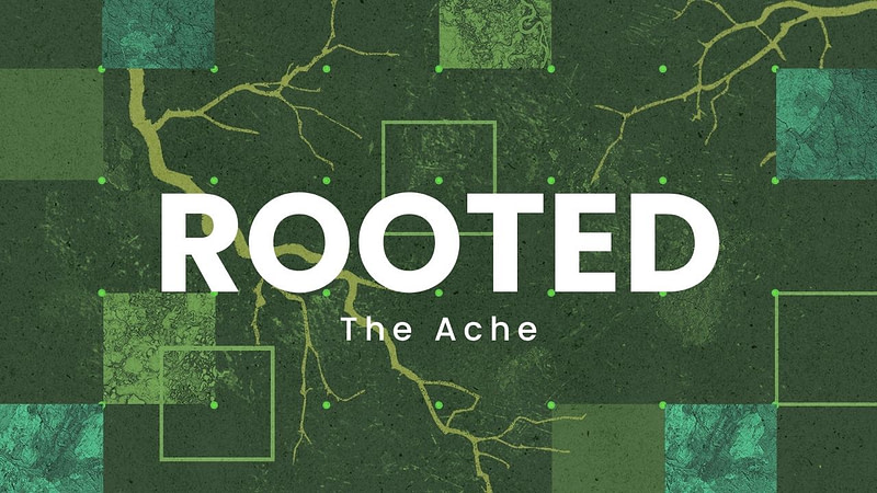 ROOTED | The Ache