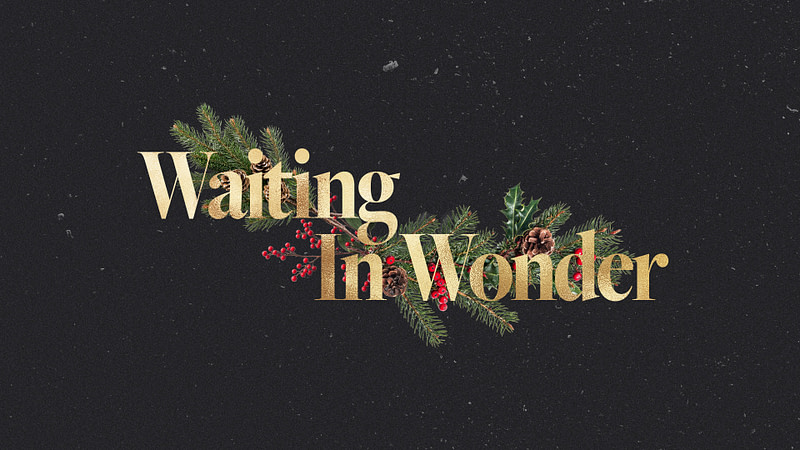 Waiting In Wonder
