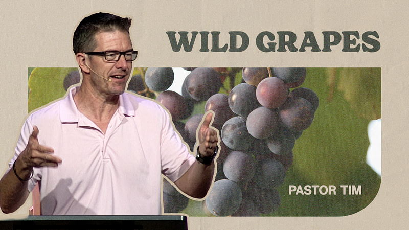 Wild Grapes