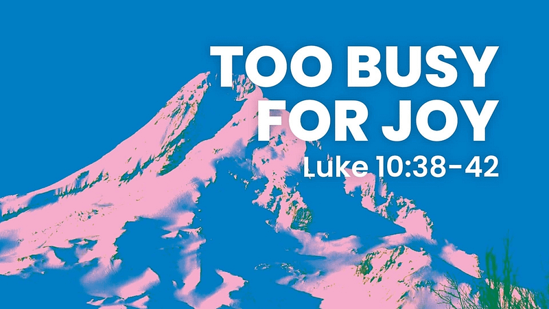 Too Busy for Joy