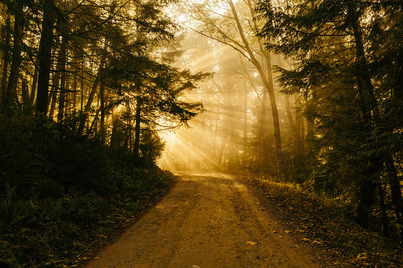 Racial Reconciliation Is A Journey