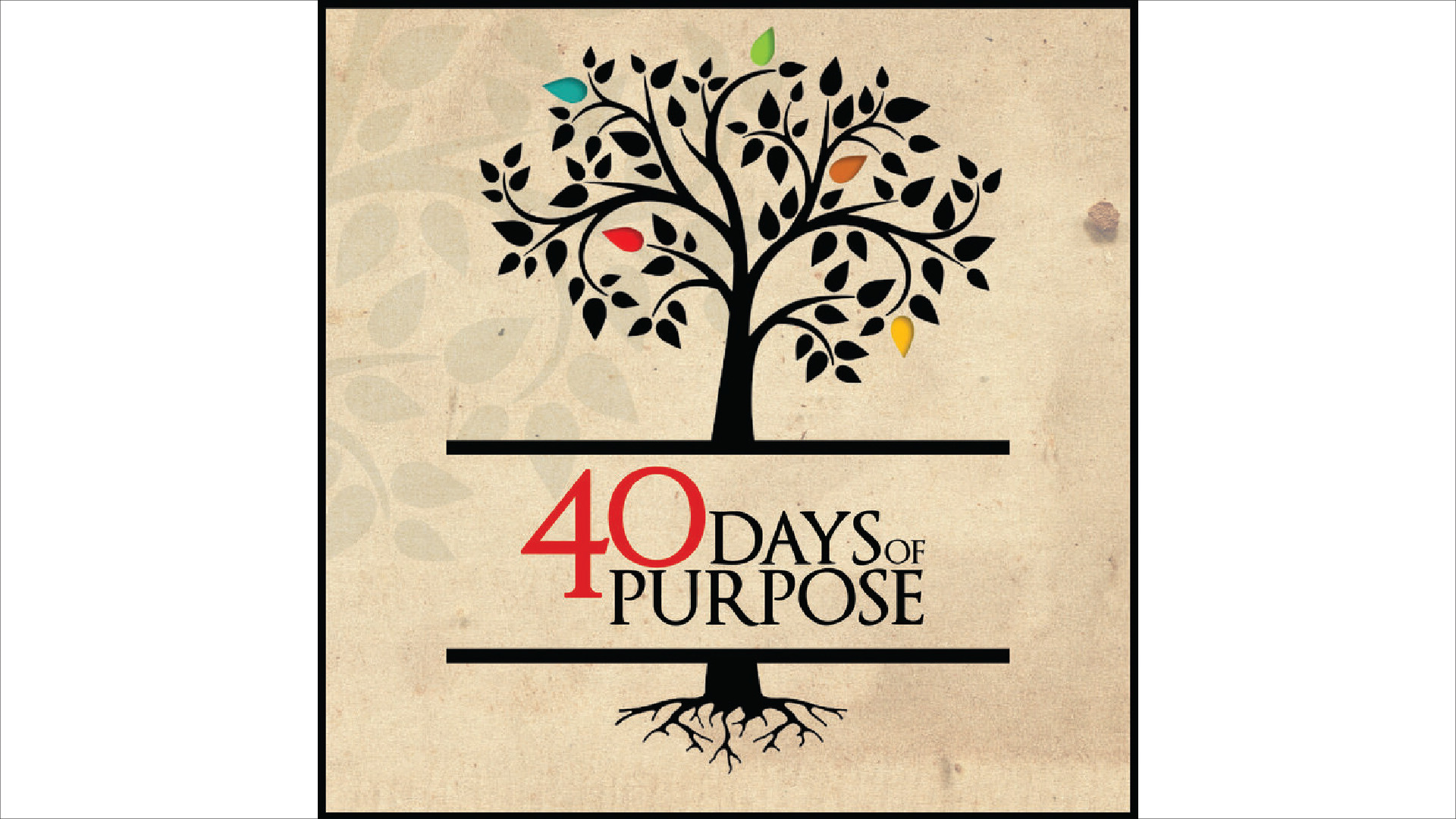 Purpose Two: To Fellowship