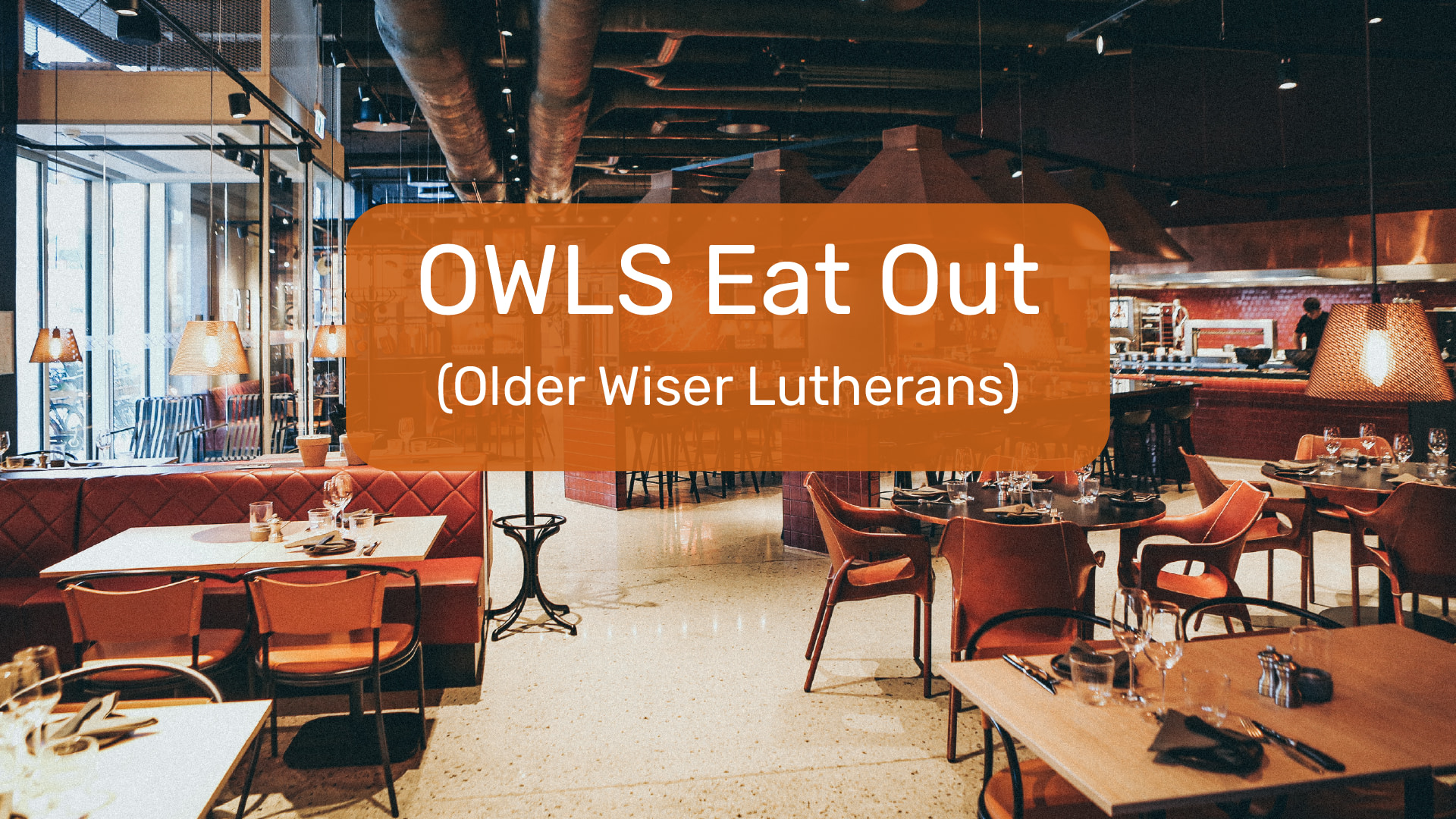 Owls Eat NEw 16x9